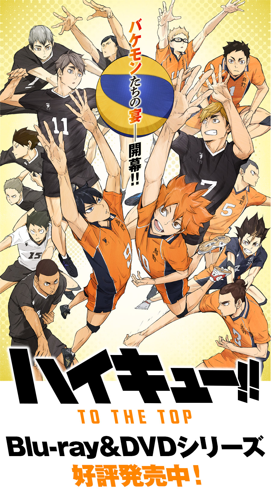 Haikyuu to the top. Blu-ray & DVD